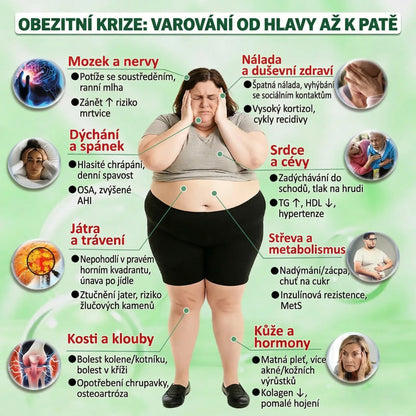 【Poslední den akce – sleva 80 %】✅ Florisma® Moringa + Berberin + NAD+ 2v1✨ Pokročilá náplast s nano-mikrojehličkami📦 7 náplastí v balení · zásoba na 1 týden
