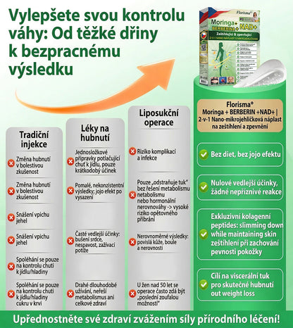 【Poslední den akce – sleva 80 %】✅ Florisma® Moringa + Berberin + NAD+ 2v1✨ Pokročilá náplast s nano-mikrojehličkami📦 7 náplastí v balení · zásoba na 1 týden