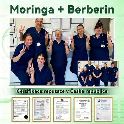 Oficiální obchod  |𝗟𝘂𝘅𝗮𝗿𝗶𝘀𝗲® MORINGA X BERBERIN  10-IN-1 Pokročilý Nano Mikrojehly Náplast(Jedna náplast denně, viditelné změny již za 7 dní) ✅ Pomáhá při obezitě, cukrovce, spánkové apnoe, problémech s klouby a dalších potížích 🌹
